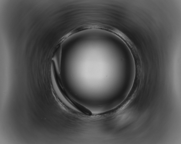 X0000087680857200705041027