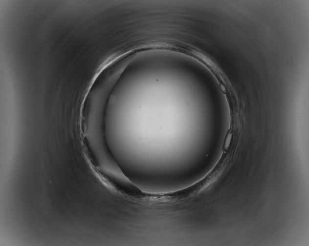 X0000087680858200705041027