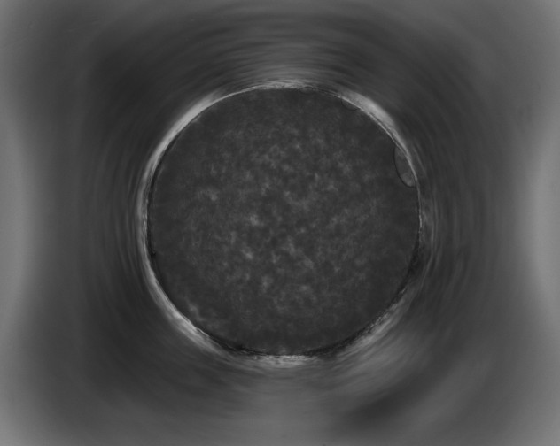 X0000087680859200705041027