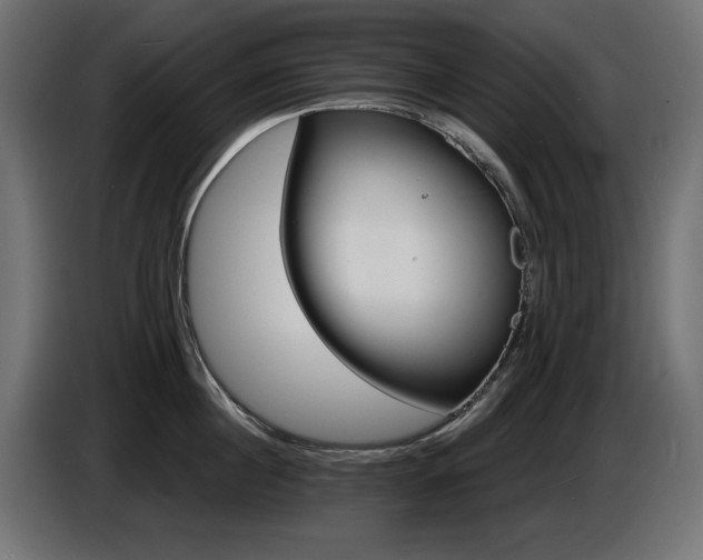 X0000087680860200705041027