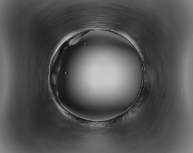 X0000087680861200705041027