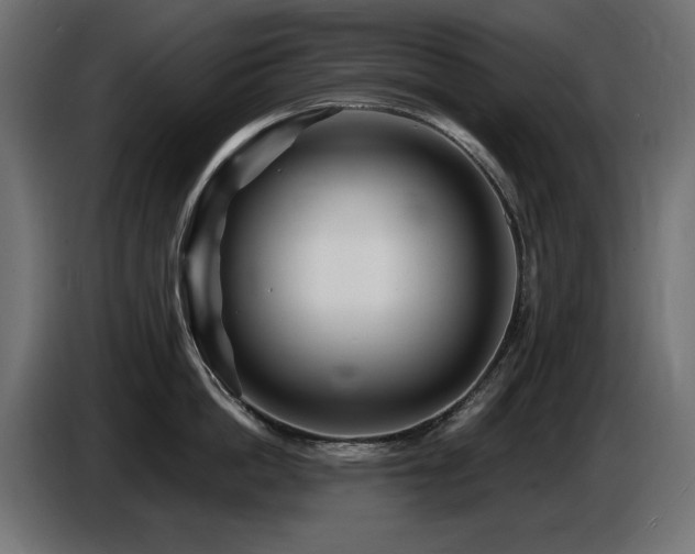 X0000087680862200705041027