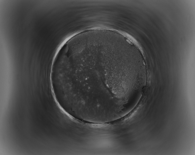X0000087680863200705041027
