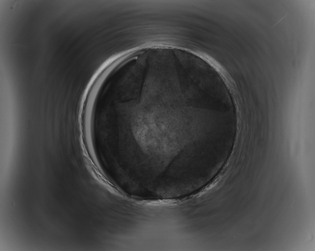 X0000087680864200705041027