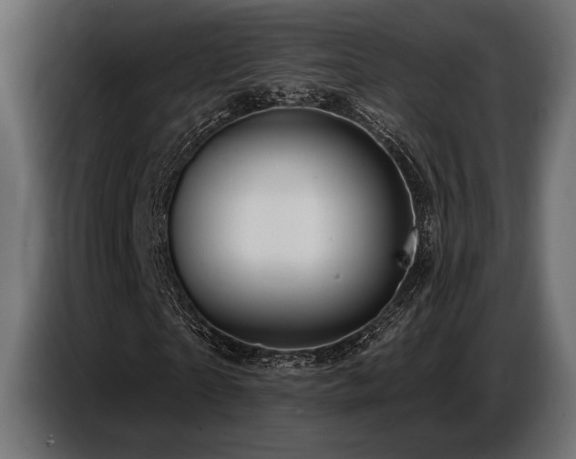 X0000087680865200705041027