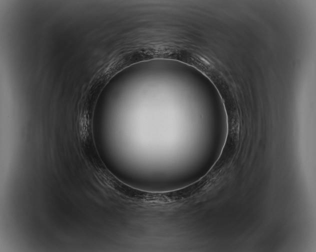 X0000087680866200705041027