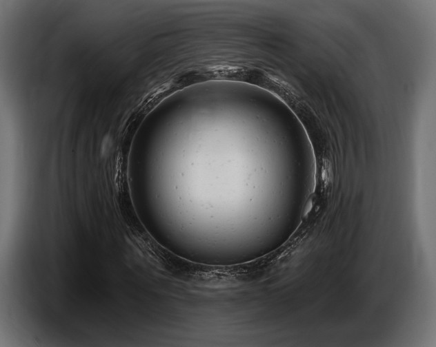 X0000087680867200705041027