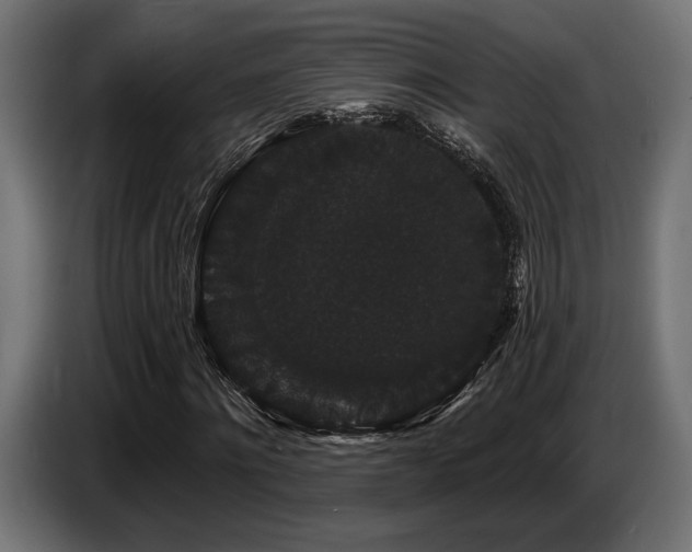 X0000087680868200705041027
