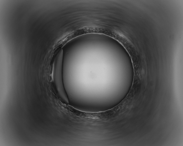 X0000087680870200705041027