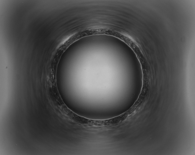 X0000087680871200705041027