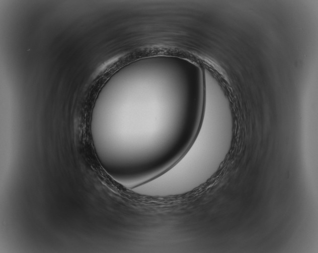 X0000087680872200705041027