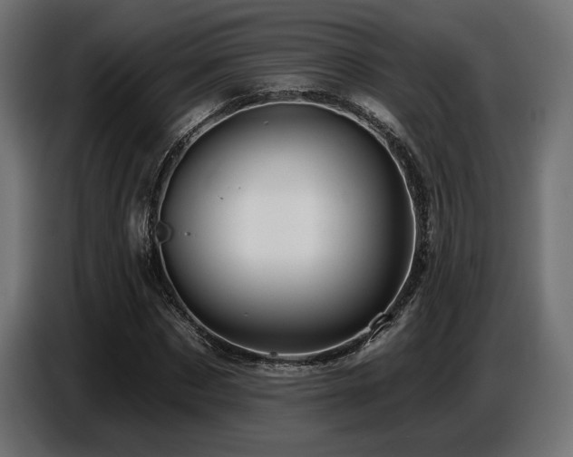 X0000087680873200705041027