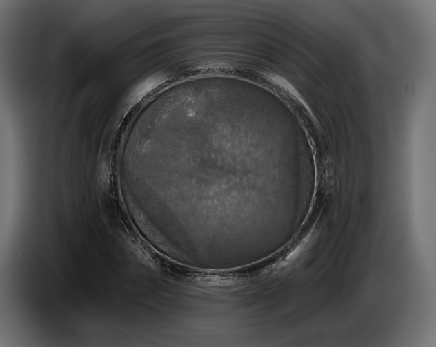 X0000087680874200705041027