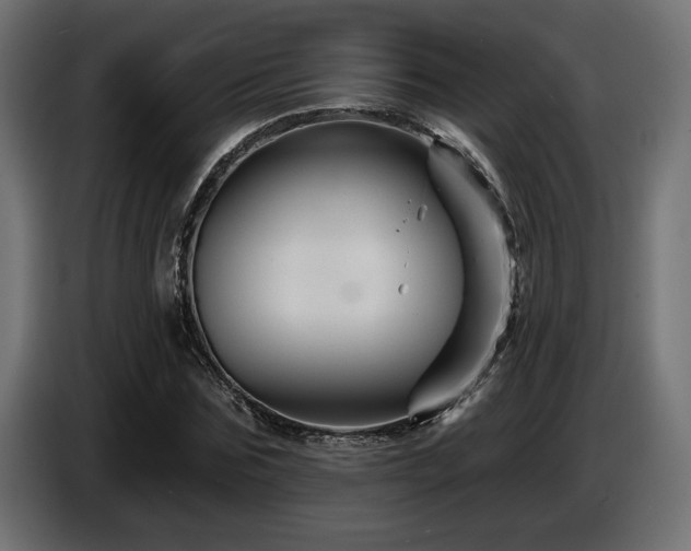 X0000087680875200705041027