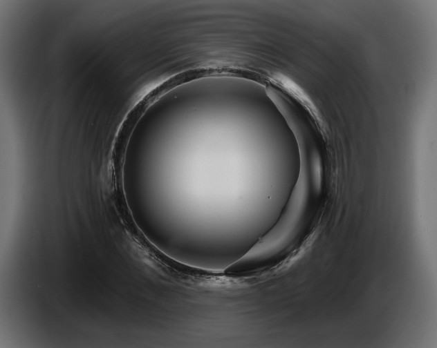 X0000087680876200705041027