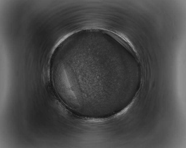 X0000087680877200705041027