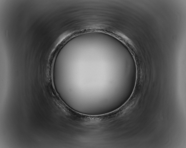 X0000087680878200705041027