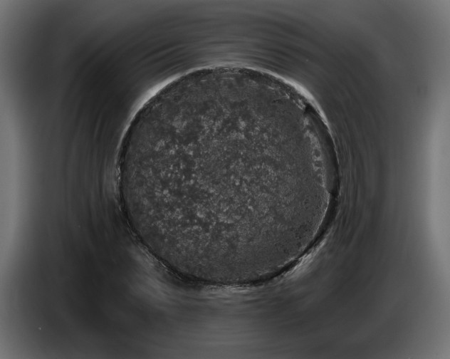 X0000087680879200705041027