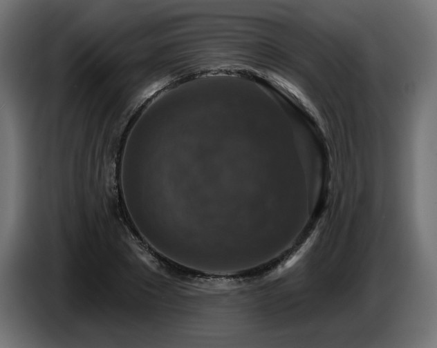 X0000087680881200705041027