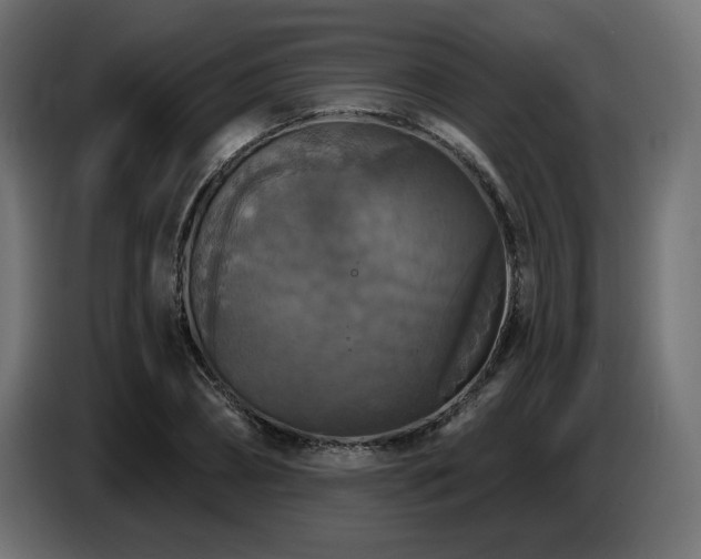 X0000087680882200705041027