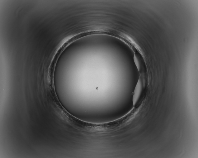 X0000087680883200705041027