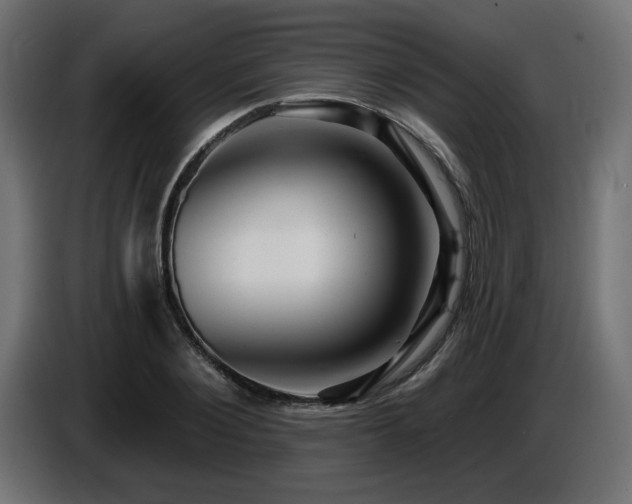 X0000087680884200705041027