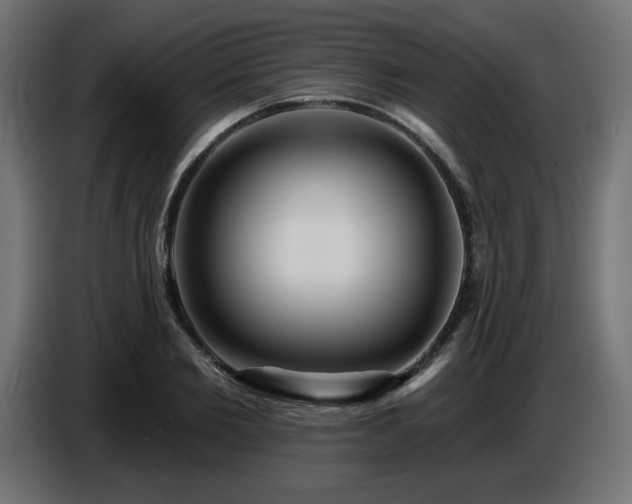 X0000087680885200705041027