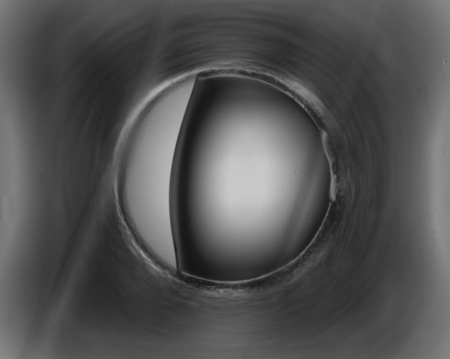 X0000087680888200705041027
