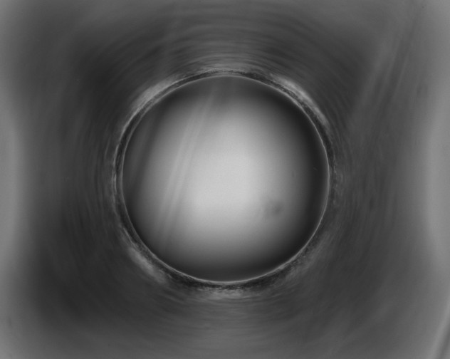 X0000087680890200705041026