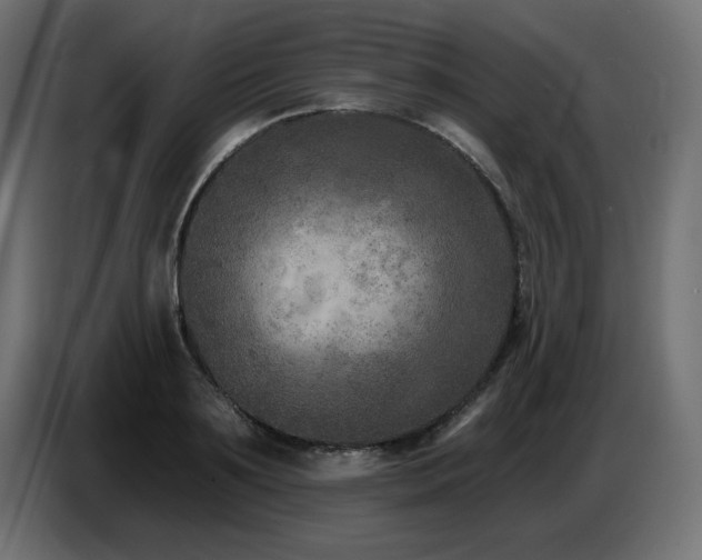 X0000087680891200705041026