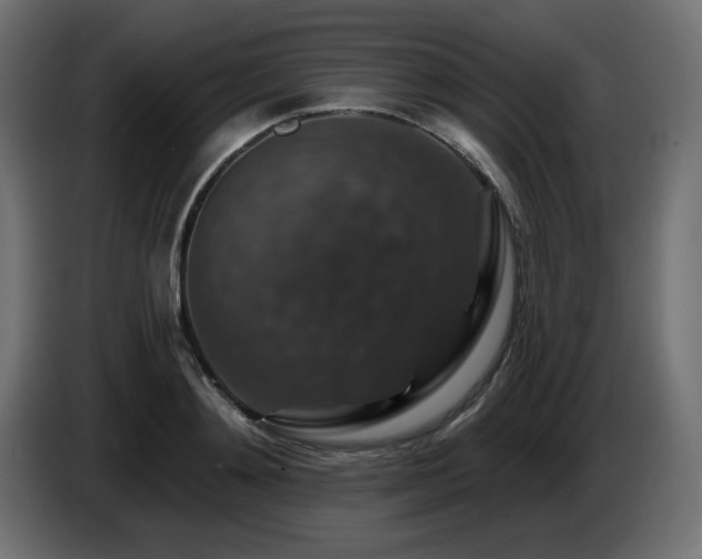 X0000087680892200705041026