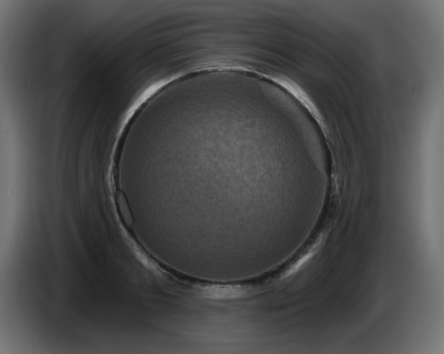 X0000087680893200705041026