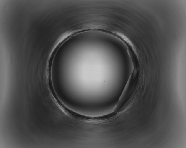 X0000087680894200705041026
