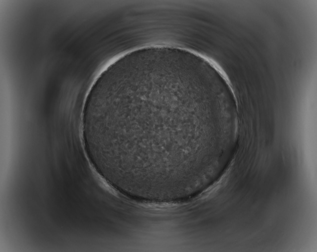 X0000087680895200705041026
