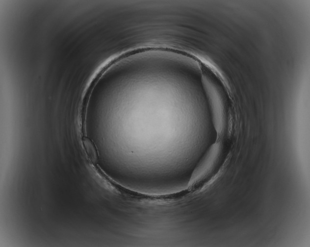 X0000087680896200705041026