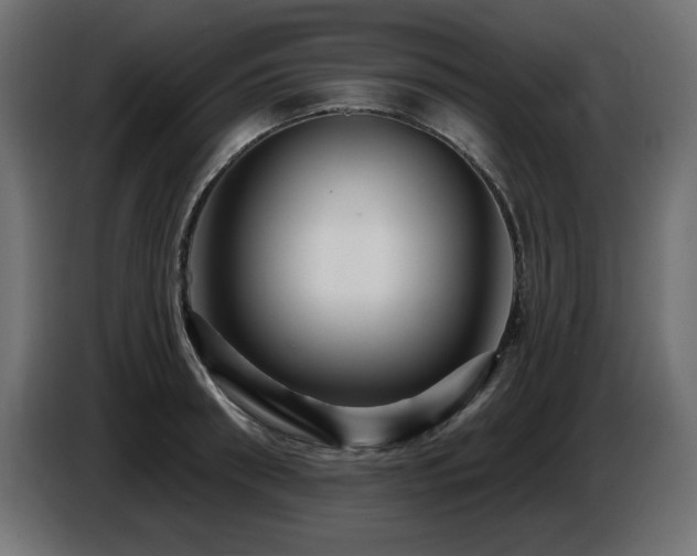 X0000087680898200705041026
