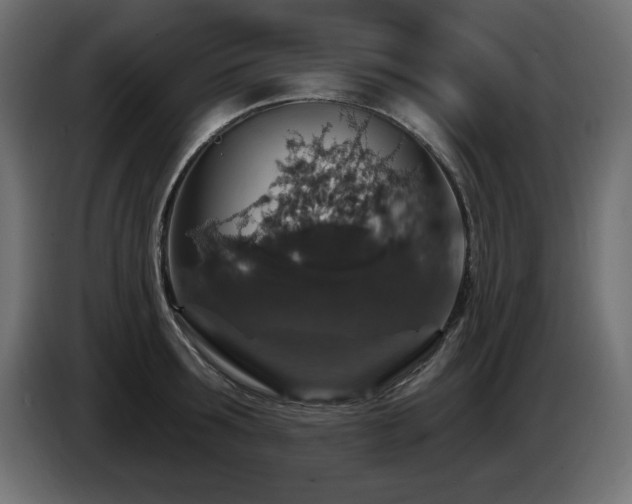 X0000087680899200705041026