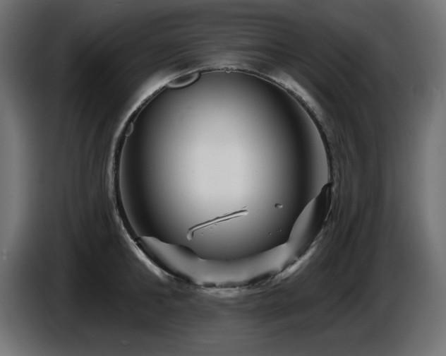 X0000087680902200705041026