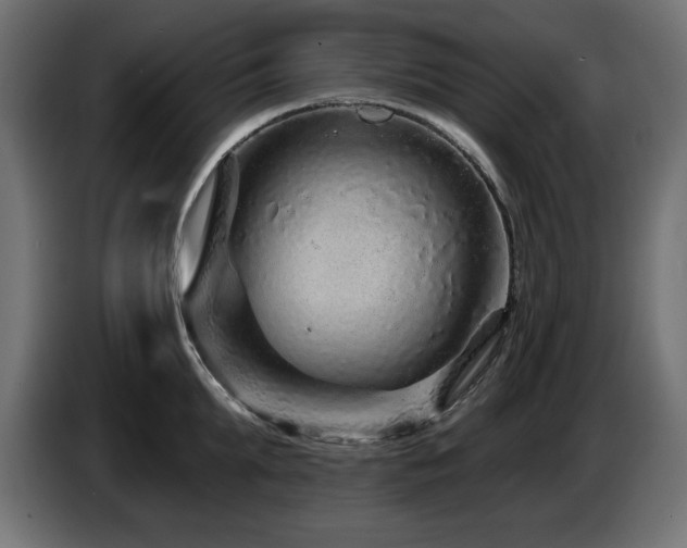 X0000087680903200705041026
