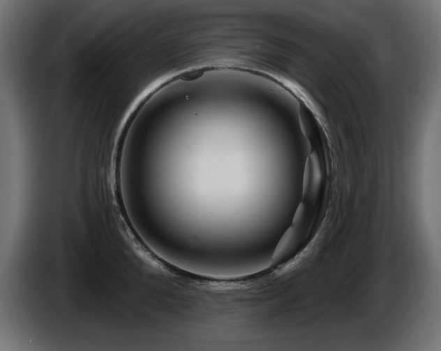 X0000087680904200705041026