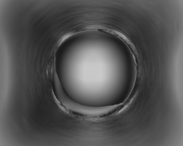 X0000087680905200705041026