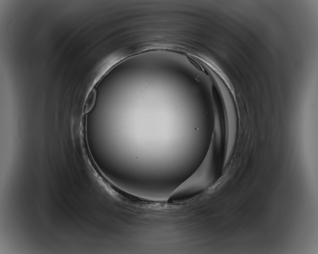 X0000087680906200705041026