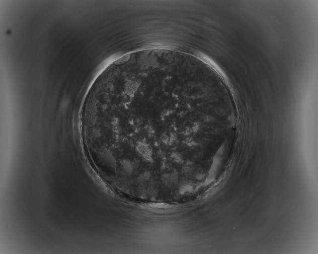 X0000087680907200705041026