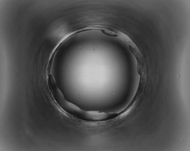 X0000087680908200705041026