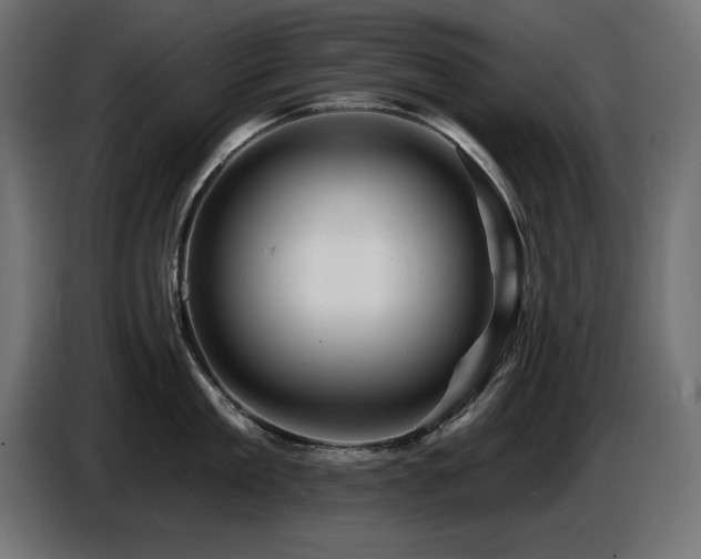 X0000087680909200705041026