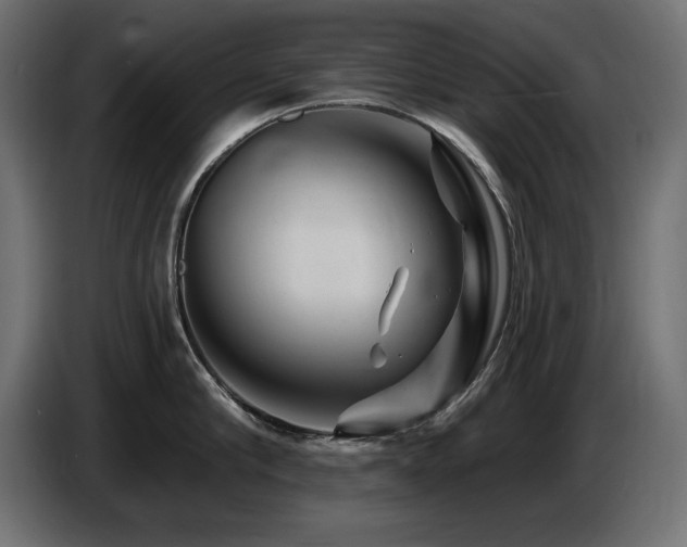 X0000087680910200705041026