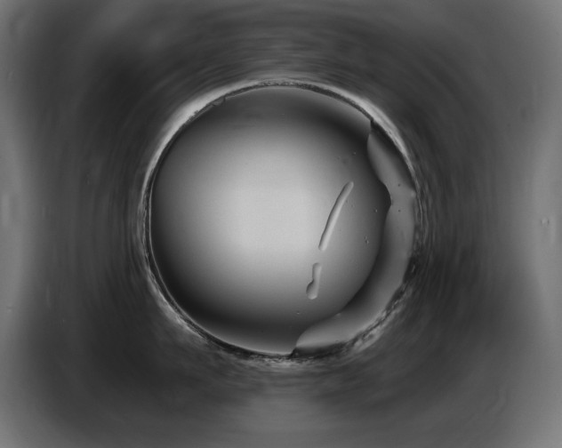 X0000087680911200705041026