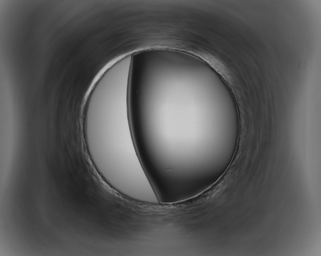 X0000087680912200705041026