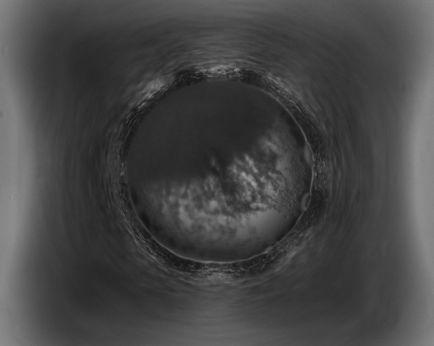 X0000087680913200705041026