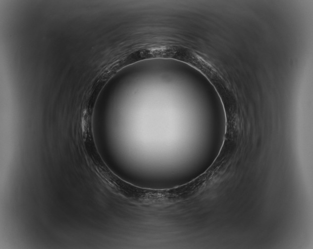 X0000087680914200705041026